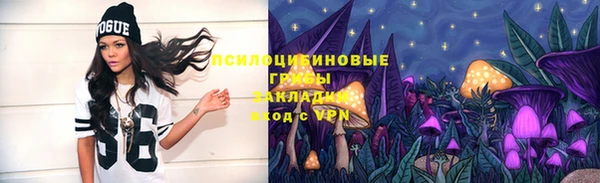гидра Волоколамск