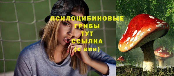 стаф Сафоново