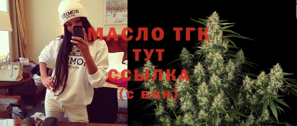 шишки Магас