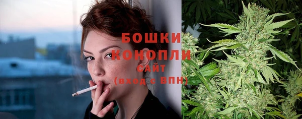 гашик Анива