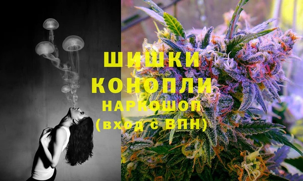 стаф Сафоново